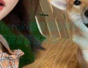 水手服和roroki骷髅姬的神奇碰撞：一场不按套路出牌的cos图册