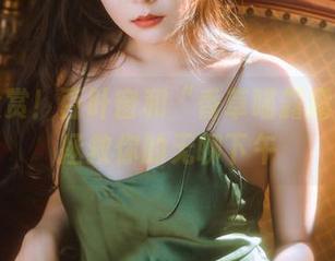 套图大赏！百叶窗和“香草喵露露”联手拯救你的无聊下午